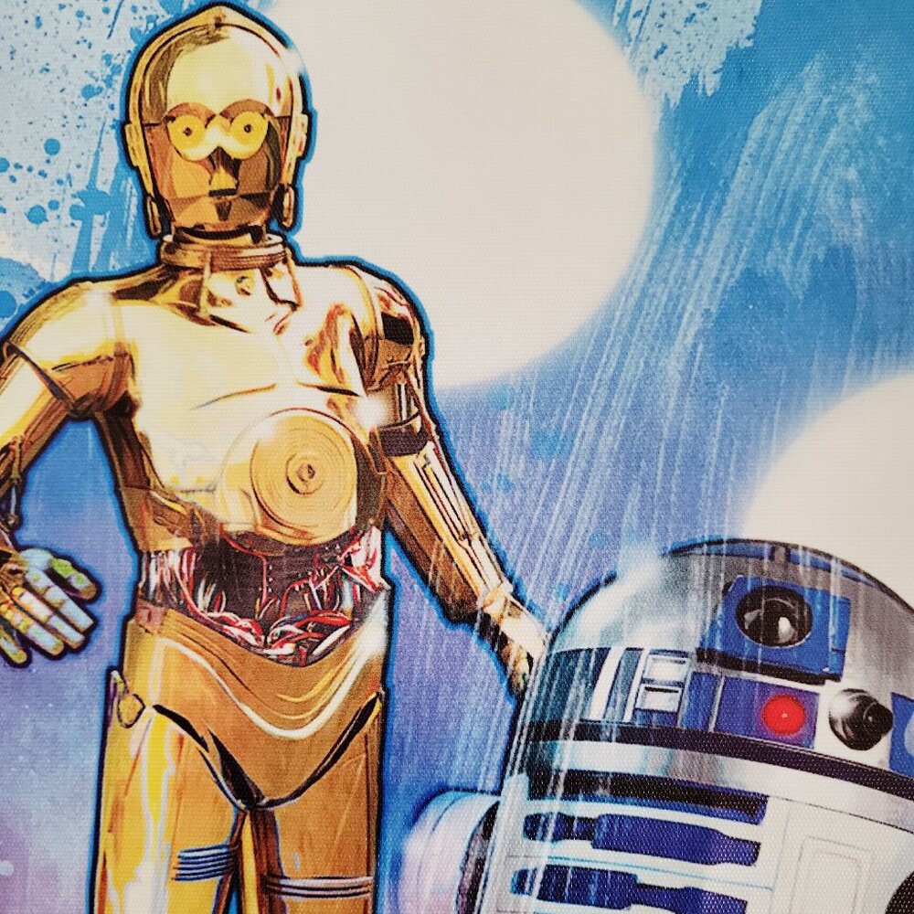 Star Wars Disney R2-D2 & C-3PO Art Canvas Poster 12x16 Colorful Droid Print - Picture 5 of 5